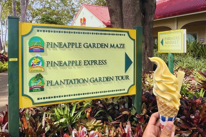 Oahu: Dole Plantation and Ko Hana Distillery with Rum Tasting - Photo 1 of 25